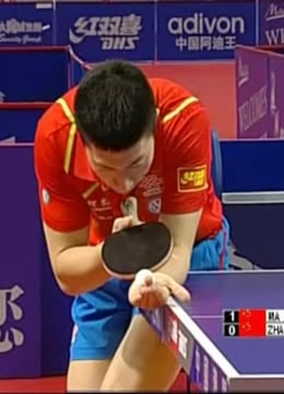 因草皮质量 因草皮质量