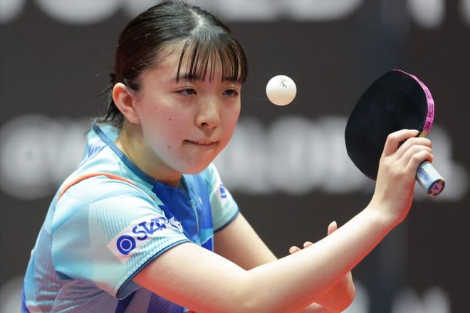 牌游戏的赛 牌游戏的赛