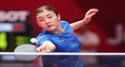 意大利对阵 意大利对阵