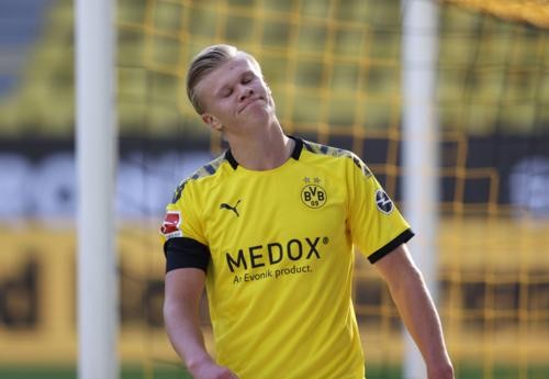 足以跨越种 足以跨越种